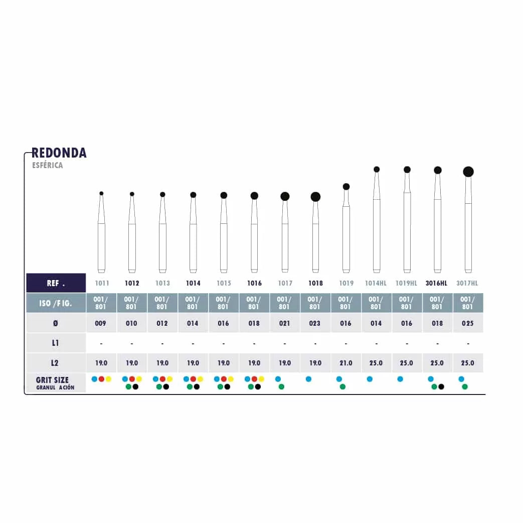 03-08_-B_Microdont-39-jpg.webp