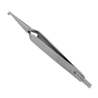 10789.webp