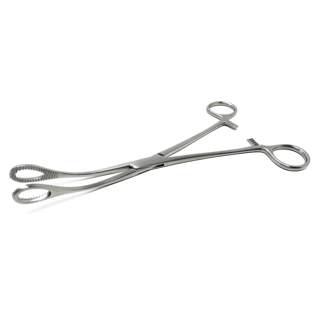 Pinza Foerster Recta Acero 25 cm 2