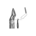 Forcep Bayoneta Medio 51