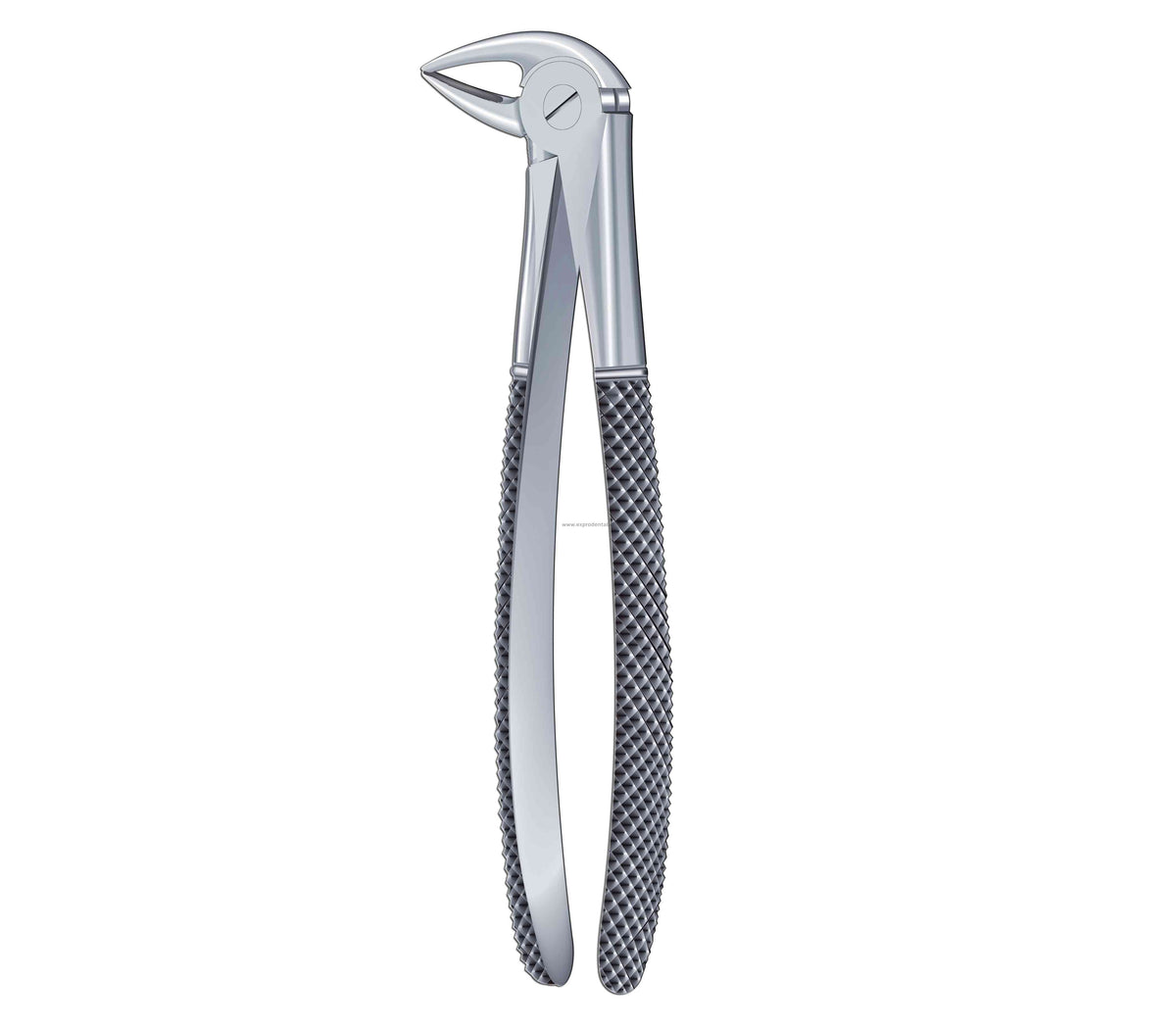 Forcep Curv Bord P.Loro Med 33