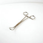 Pinza Backhouse Forcep Premium Original Marca Pacard Medidas 12