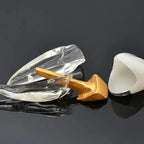 Modelo Endodoncia Dental Acrílico Enseñanza Didáctico Stgo. 7