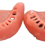 Encía De Repuesto Para Modelo Modelo Cirugía Oral Colgajos 2