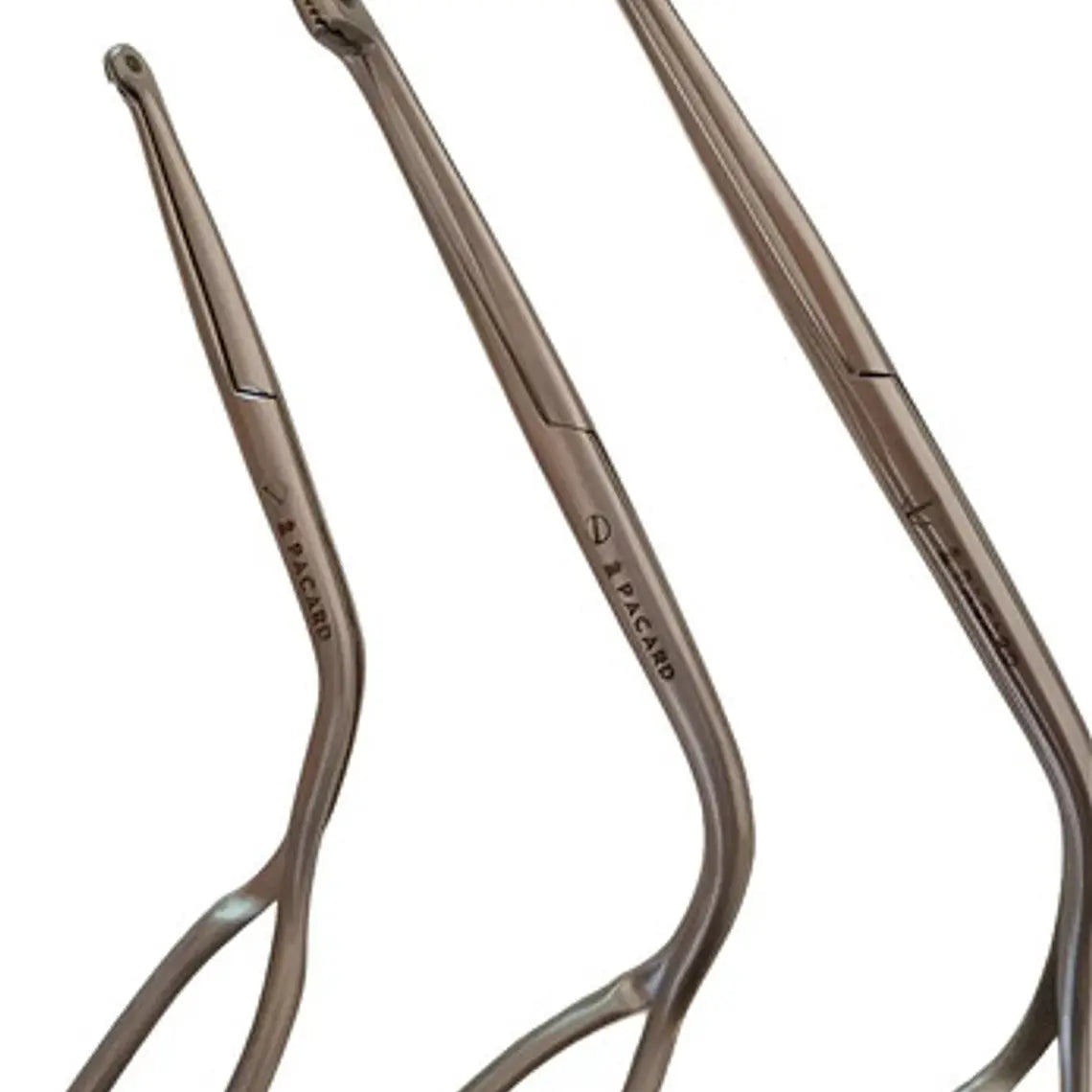 Pinza Magill De Acero Inoxidable Adulto O Pediátrica Pacard Tipo De Pinza 15cms 3