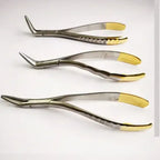 Set 3 Forcep Extracción Raíces Dentales Pacard Mango Dorado 7