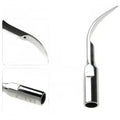 Puntas Scaler Ultrasonido Cavitron Dte/satelec Set 5 Stgo. 1