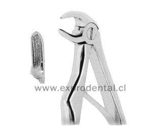 Forcep Nino Curv Bord P.Loro Med 5