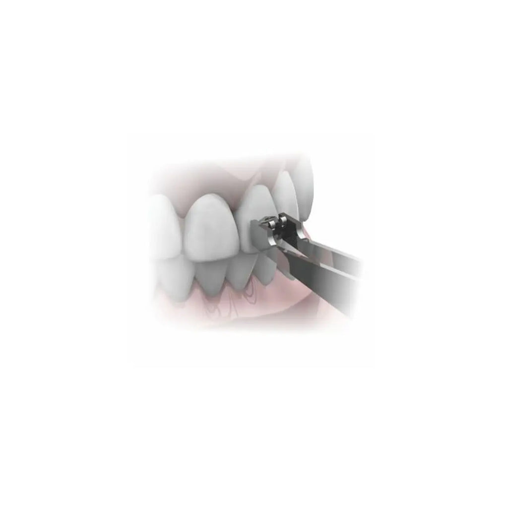Pinza de Bracket Morelli