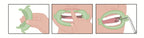 14421.webp
