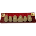DIENTE MARCHE ANTERIOR SUPERIOR COLOR 43