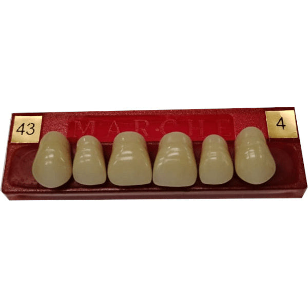 DIENTE MARCHE ANTERIOR SUPERIOR COLOR 43