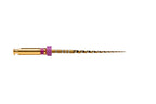 Lima Protaper Gold S1 25Mm X6 Maillefer