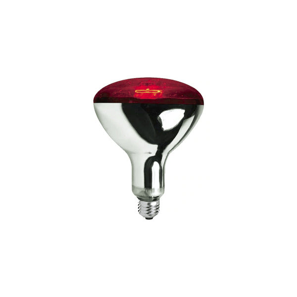 AMPOLLETA INFRARROJA 250 WATT