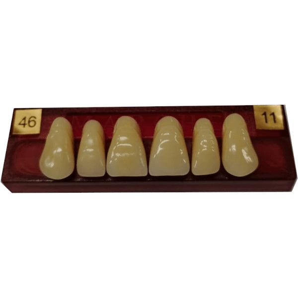 DIENTE MARCHE ANTERIOR SUPERIOR COLOR 46