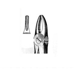 Forceps #29S