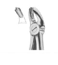 Forceps #18A UNIVERSAL