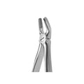 Forceps Blade Beaks Nº18 Coricama – Italy.