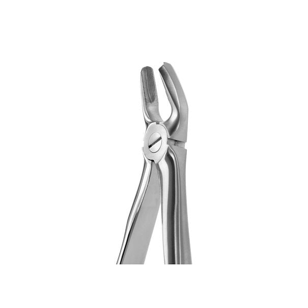 Forceps Blade Beaks Nº18 Coricama – Italy.