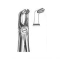 Forceps #79