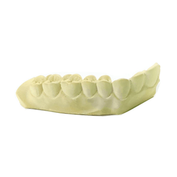 MODELO YESO IDEAL DENTADO LATERAL