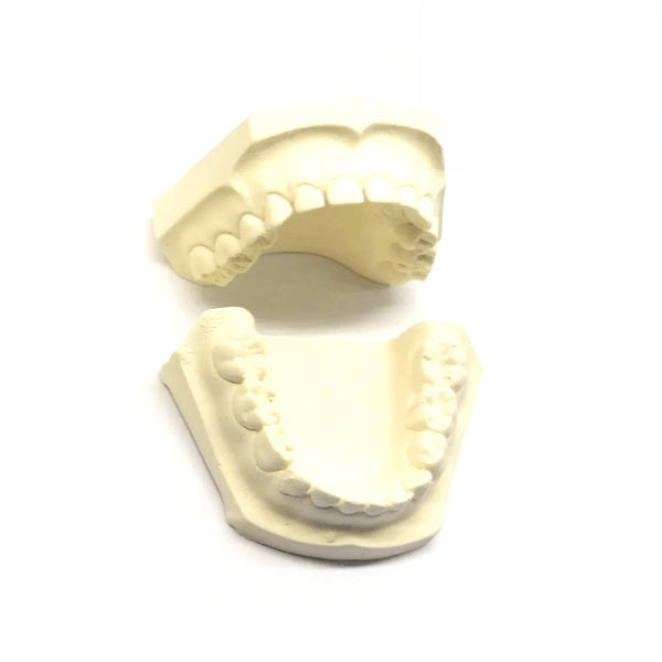 MODELO YESO IDEAL DENTADO INFANTIL PAR