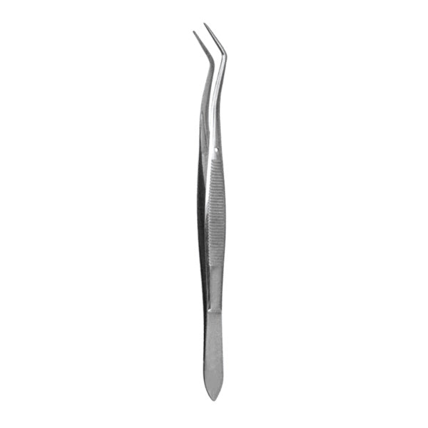 PINZA MERIAM BIANGULADA
