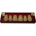DIENTE MARCHE ANTERIOR SUPERIOR COLOR 45