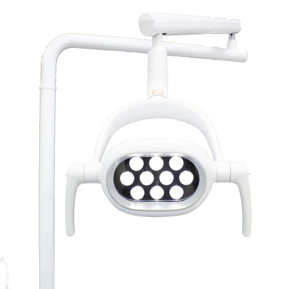 21773.webp