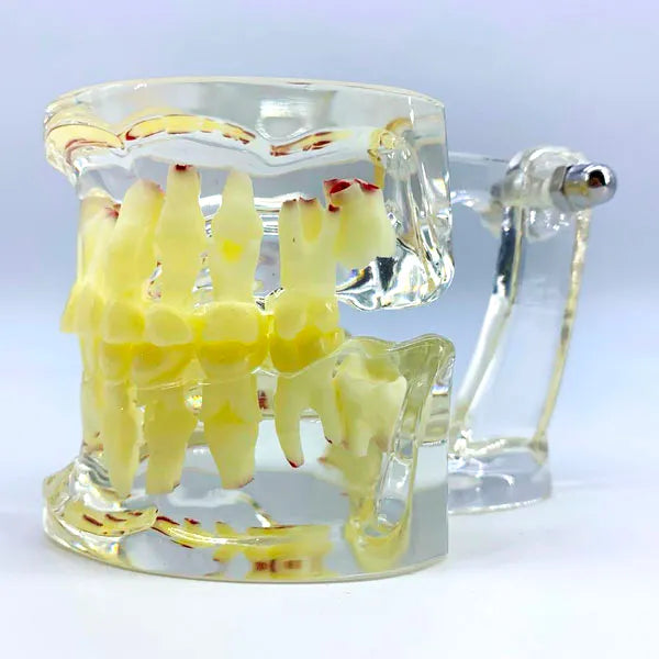 2703.webp