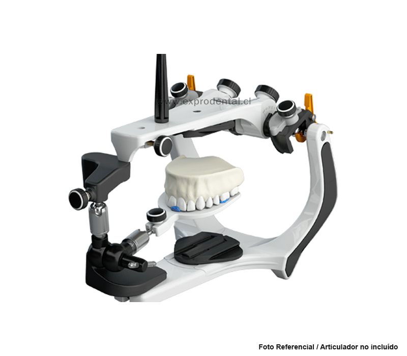 Arco Facial Elite C/Nasio Bioart