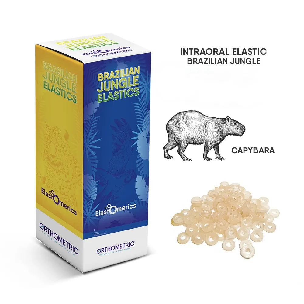 Elasticos Intraorales 1/8 Brazilian jungle elastics Orthometric