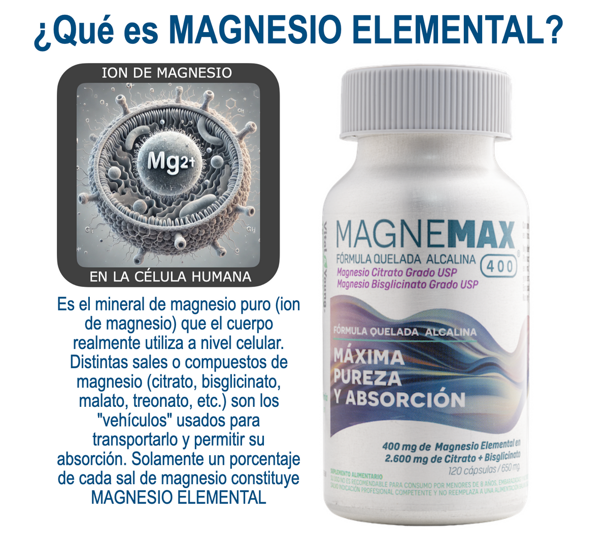 Magnemax 400® Magnesio 400 mg Elemental – Citrato + Bisglicinato Grado USP | 120 Cápsulas