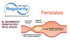 Regularity Fibra Vegetal con Magnesio Natural – Apoyo para la Regularidad Intestinal | 90 Cápsulas