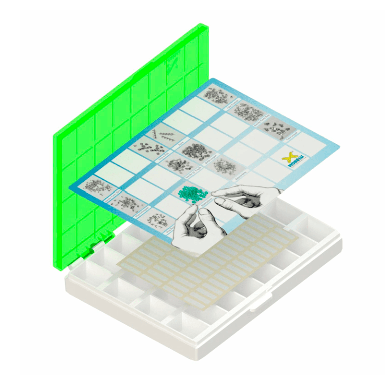 Caja Organizadora Multiuso | Morelli