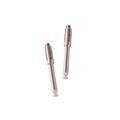 Mandril para discos de Pulido (2 un.) | Polishing XT