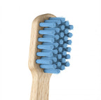 CURAPROX2.jpg