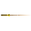 Lima Protaper Gold 25 mm - DENTSPLY