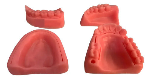 Kit Práctica Sutura Dentista Cirugía Incluye 4 Modelos Stgo