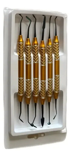 Espátulas De Composite Resina Dental Set 6u Santiago