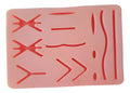 Almohadilla Práctica Sutura Medicina 18x12cm + Grande Caja