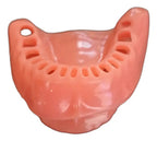 Encía De Repuesto Para Modelo Modelo Cirugía Oral Colgajos