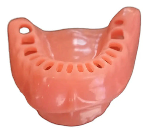 Encía De Repuesto Para Modelo Modelo Cirugía Oral Colgajos