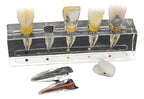 Modelo Endodoncia Dental Acrílico Enseñanza Didáctico Stgo.
