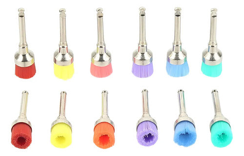 Escobillas Profilaxis Dental Colores 30 Unidades Santiago