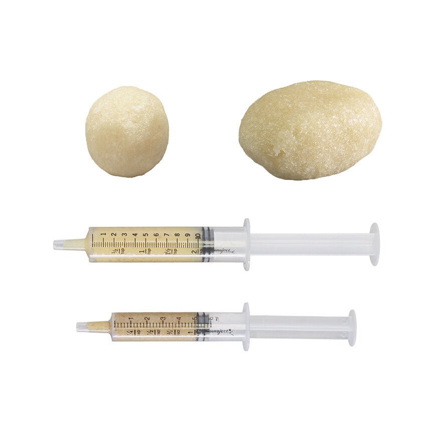 Demineralized Bone Matrix AlloFuse® – 1