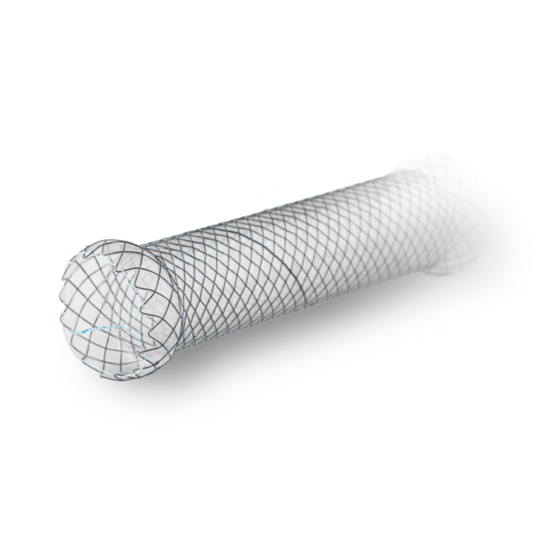 Duodenal20con20recubrimiento-2002.png