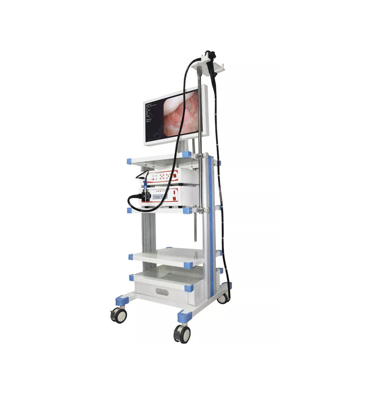 ENDOSCOPIO HEALICOM SERIE HMV