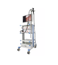 ENDOSCOPIO HEALICOM SERIE HMV
