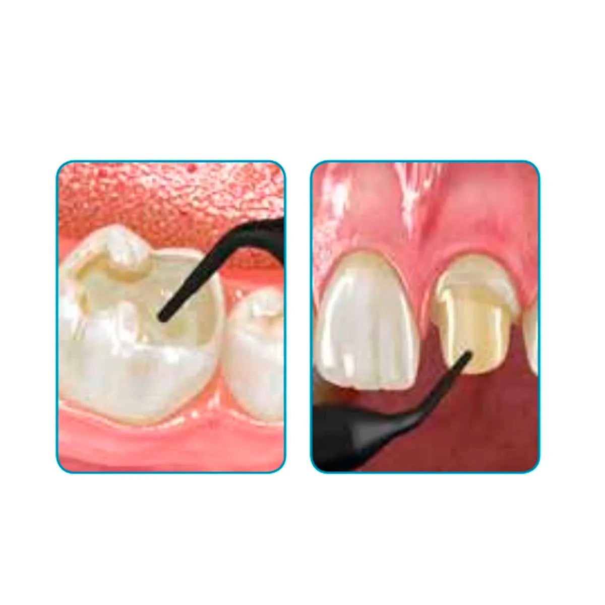 EVERX FLOW GC AMERICA
